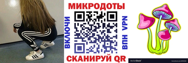 Купить  Избербаш  Галлюциногенные грибы Psilocybe 